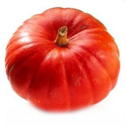 Fresh Pumpkin - Red